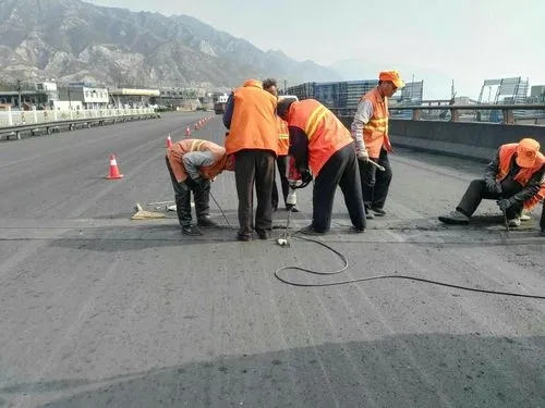 碾子山道路桥梁病害治理